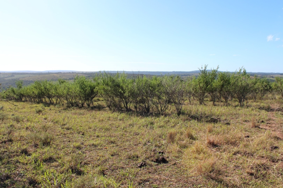 3 Bedroom Property for Sale in Bathurst Eastern Cape